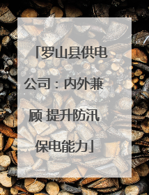罗山县供电公司：内外兼顾 提升防汛保电能力
