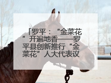 罗平：“金菜花”开遍地香——罗平县创新推行“金菜花”人大代表议事会履职行动
