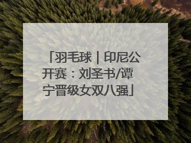 羽毛球｜印尼公开赛：刘圣书/谭宁晋级女双八强