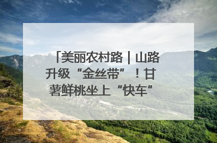美丽农村路｜山路升级“金丝带”！甘薯鲜桃坐上“快车”，开去大市场