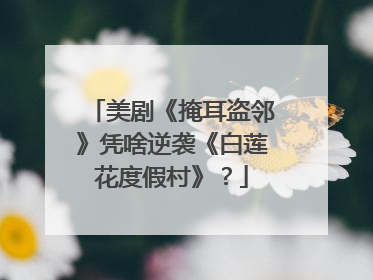 美剧《掩耳盗邻》凭啥逆袭《白莲花度假村》？