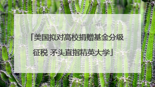 美国拟对高校捐赠基金分级征税 矛头直指精英大学