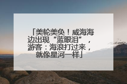 美轮美奂！威海海边出现“蓝眼泪”，游客：海浪打过来，就像星河一样