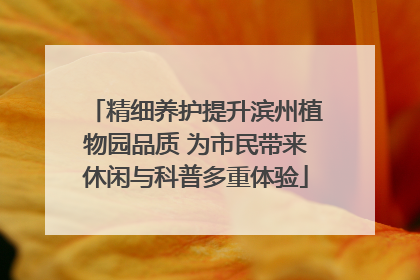 精细养护提升滨州植物园品质 为市民带来休闲与科普多重体验