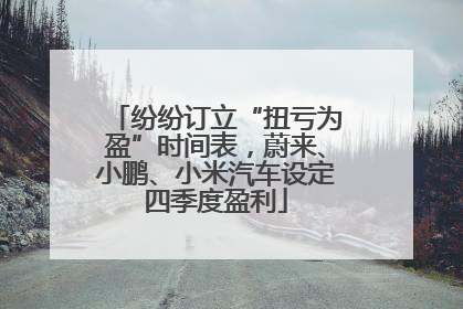 纷纷订立“扭亏为盈”时间表，蔚来、小鹏、小米汽车设定四季度盈利