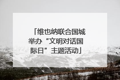 维也纳联合国城举办“文明对话国际日”主题活动