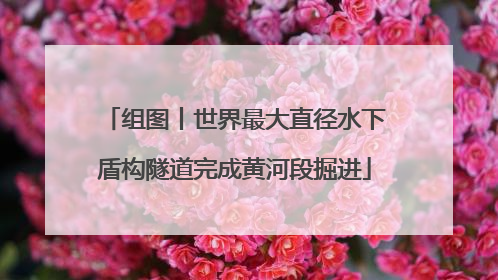 组图丨世界最大直径水下盾构隧道完成黄河段掘进