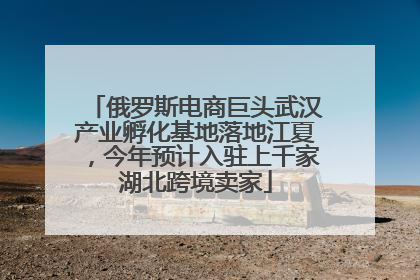 俄罗斯电商巨头武汉产业孵化基地落地江夏，今年预计入驻上千家湖北跨境卖家