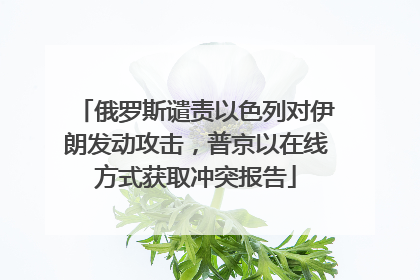 俄罗斯谴责以色列对伊朗发动攻击，普京以在线方式获取冲突报告