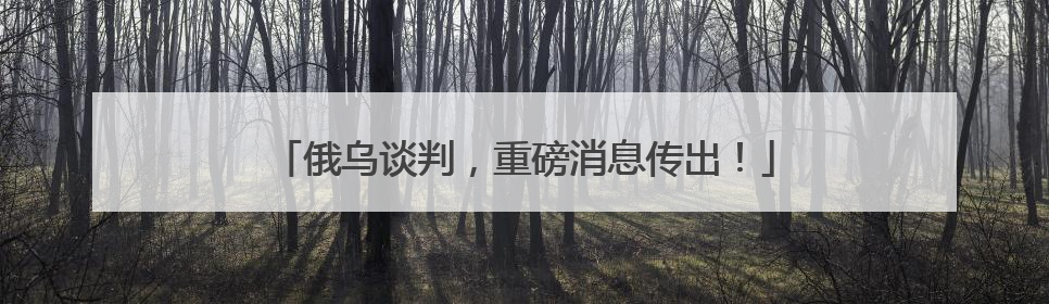俄乌谈判，重磅消息传出！