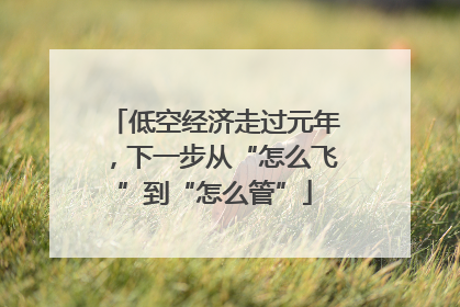 低空经济走过元年，下一步从“怎么飞”到“怎么管”