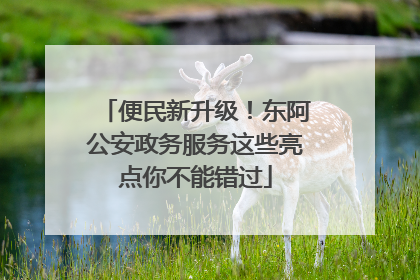 便民新升级！东阿公安政务服务这些亮点你不能错过