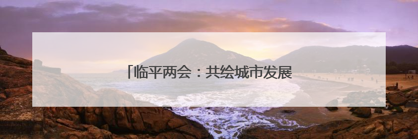 临平两会：共绘城市发展新图景，代表委员有话说