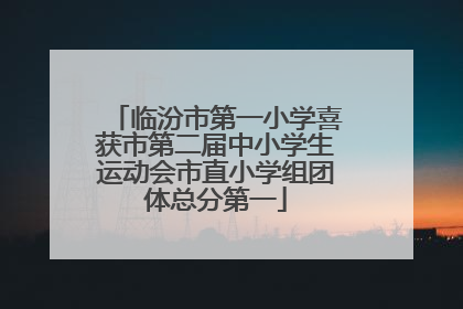 临汾市第一小学喜获市第二届中小学生运动会市直小学组团体总分第一