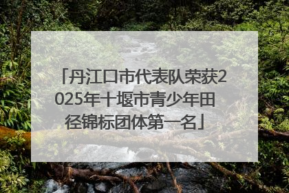 丹江口市代表队荣获2025年十堰市青少年田径锦标团体第一名