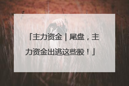 主力资金｜尾盘，主力资金出逃这些股！