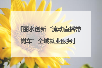 丽水创新“流动直播带岗车”全域就业服务