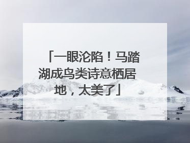 一眼沦陷！马踏湖成鸟类诗意栖居地，太美了