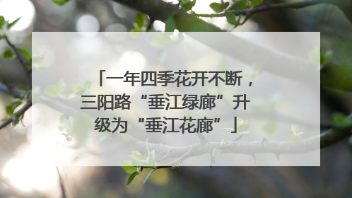 一年四季花开不断，三阳路“垂江绿廊”升级为“垂江花廊”