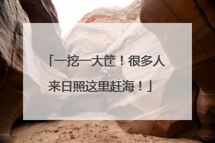 一挖一大筐！很多人来日照这里赶海！