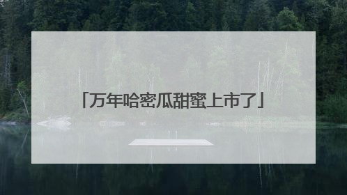 万年哈密瓜甜蜜上市了