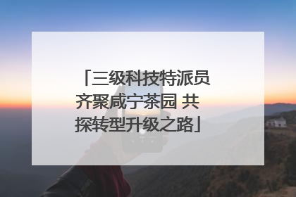 三级科技特派员齐聚咸宁茶园 共探转型升级之路