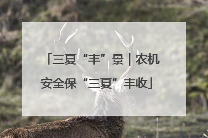 三夏“丰”景｜农机安全保“三夏”丰收
