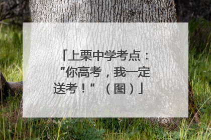 上栗中学考点：“你高考，我一定送考！”（图）