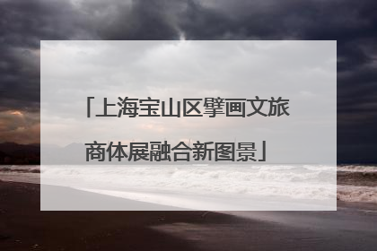 上海宝山区擘画文旅商体展融合新图景