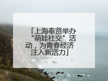 上海奉贤举办“萌娃社交”活动，为青春经济注入新活力