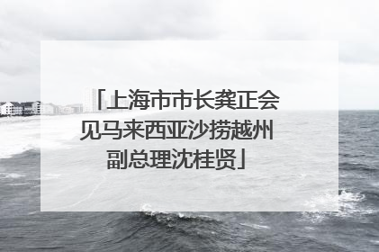 上海市市长龚正会见马来西亚沙捞越州副总理沈桂贤