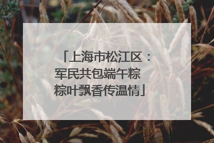 上海市松江区：军民共包端午粽 粽叶飘香传温情