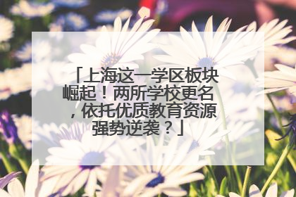 上海这一学区板块崛起！两所学校更名，依托优质教育资源强势逆袭？
