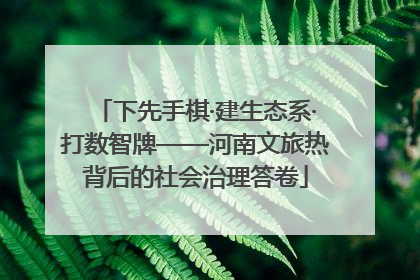 下先手棋·建生态系·打数智牌——河南文旅热背后的社会治理答卷