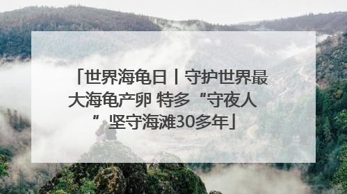 世界海龟日丨守护世界最大海龟产卵 特多“守夜人”坚守海滩30多年