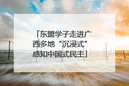 东盟学子走进广西多地“沉浸式”感知中国式民主
