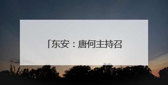 东安：唐何主持召开2025年第16次县委常委会会议