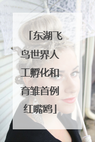 东湖飞鸟世界人工孵化和育雏首例红嘴鸥