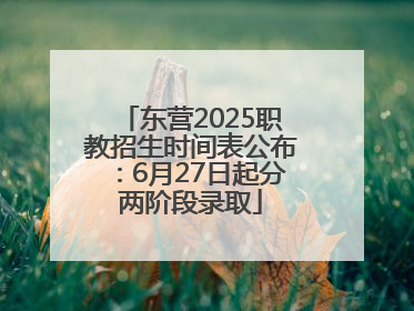 东营2025职教招生时间表公布：6月27日起分两阶段录取