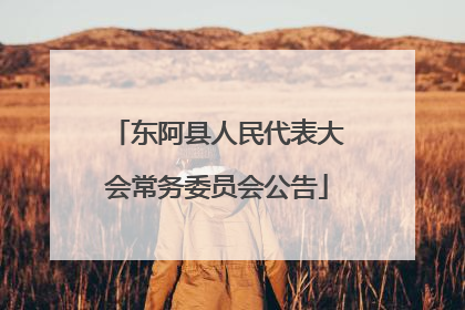 东阿县人民代表大会常务委员会公告