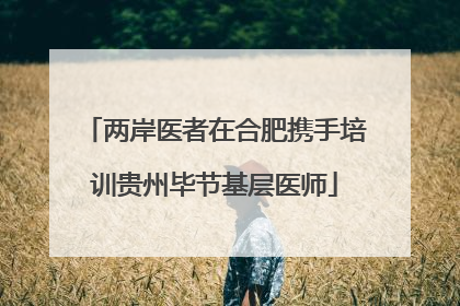 两岸医者在合肥携手培训贵州毕节基层医师