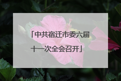 中共宿迁市委六届十一次全会召开