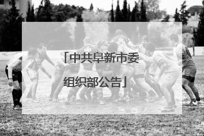 中共阜新市委组织部公告
