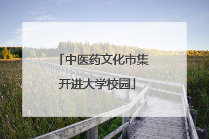中医药文化市集开进大学校园
