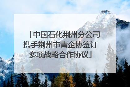 中国石化荆州分公司携手荆州市青企协签订多项战略合作协议