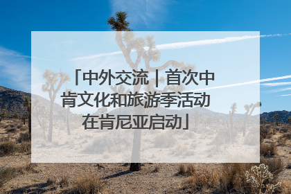 中外交流｜首次中肯文化和旅游季活动在肯尼亚启动