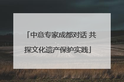 中意专家成都对话 共探文化遗产保护实践