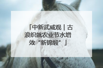 中新武威观｜古浪织就农业节水增效“新锦缎”