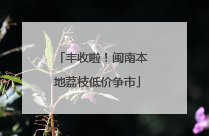丰收啦！闽南本地荔枝低价争市