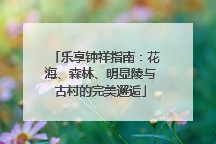 乐享钟祥指南：花海、森林、明显陵与古村的完美邂逅